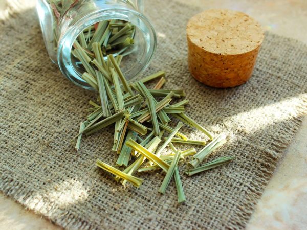 Lemongrass